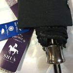 新しい折り畳み傘デビュー